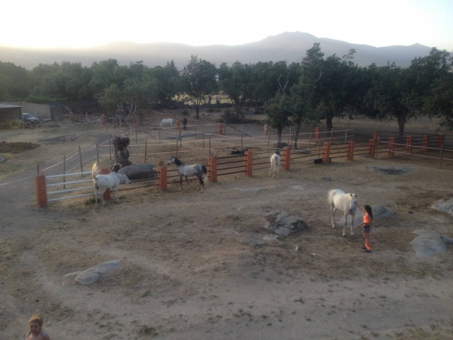Espacio para caballos